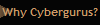 Why Cybergurus?